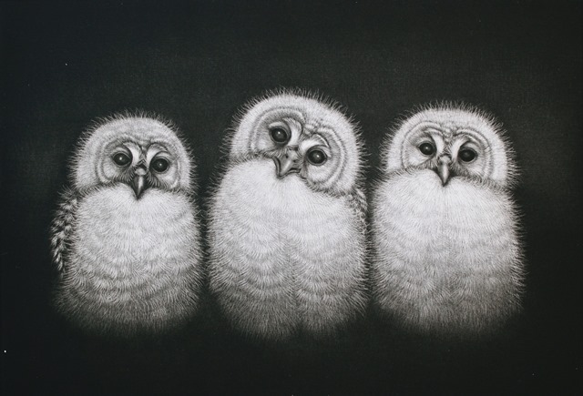 20130228ikutakoujisan03